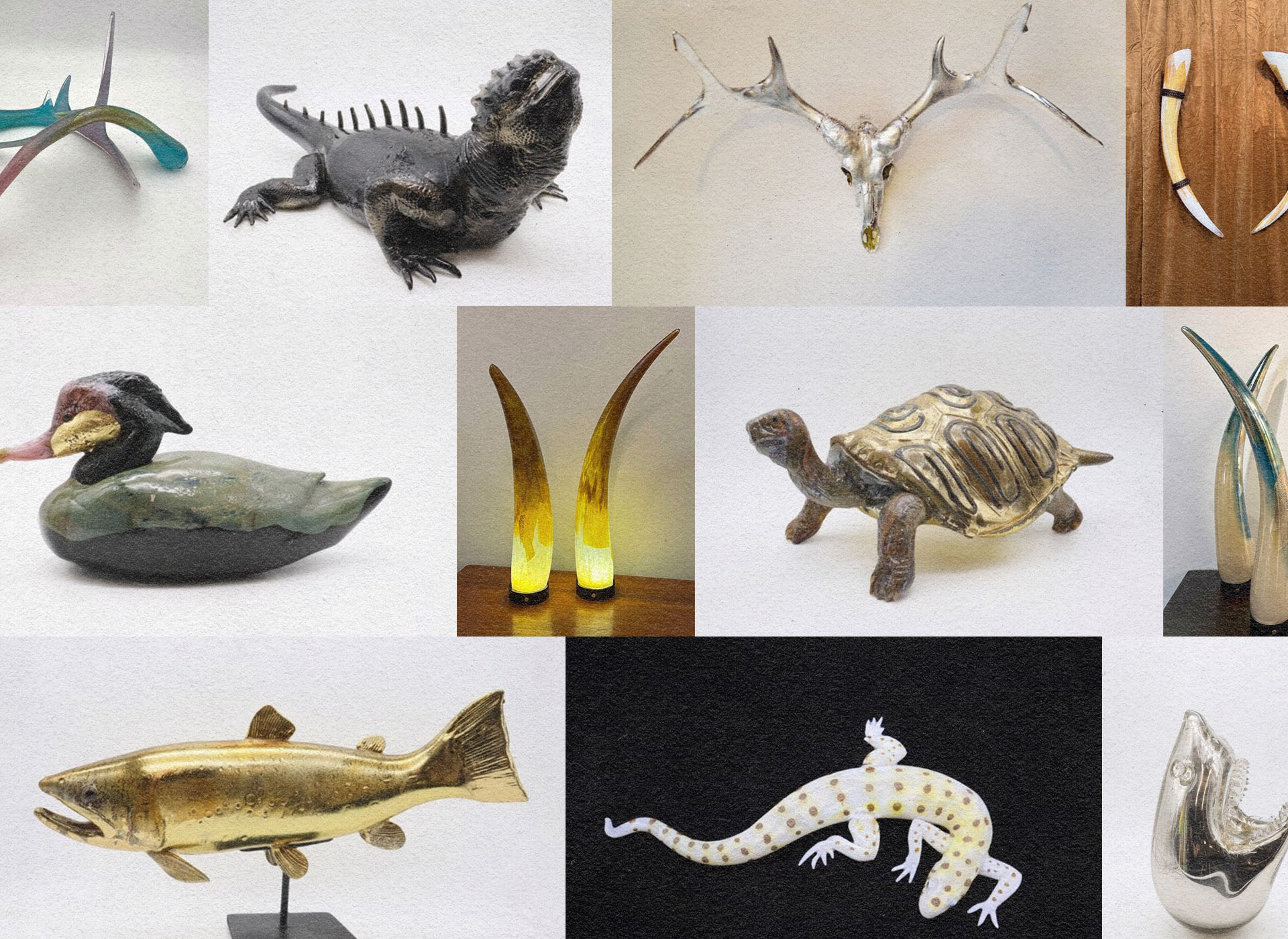 Into the Wild at Maxwell Gallery